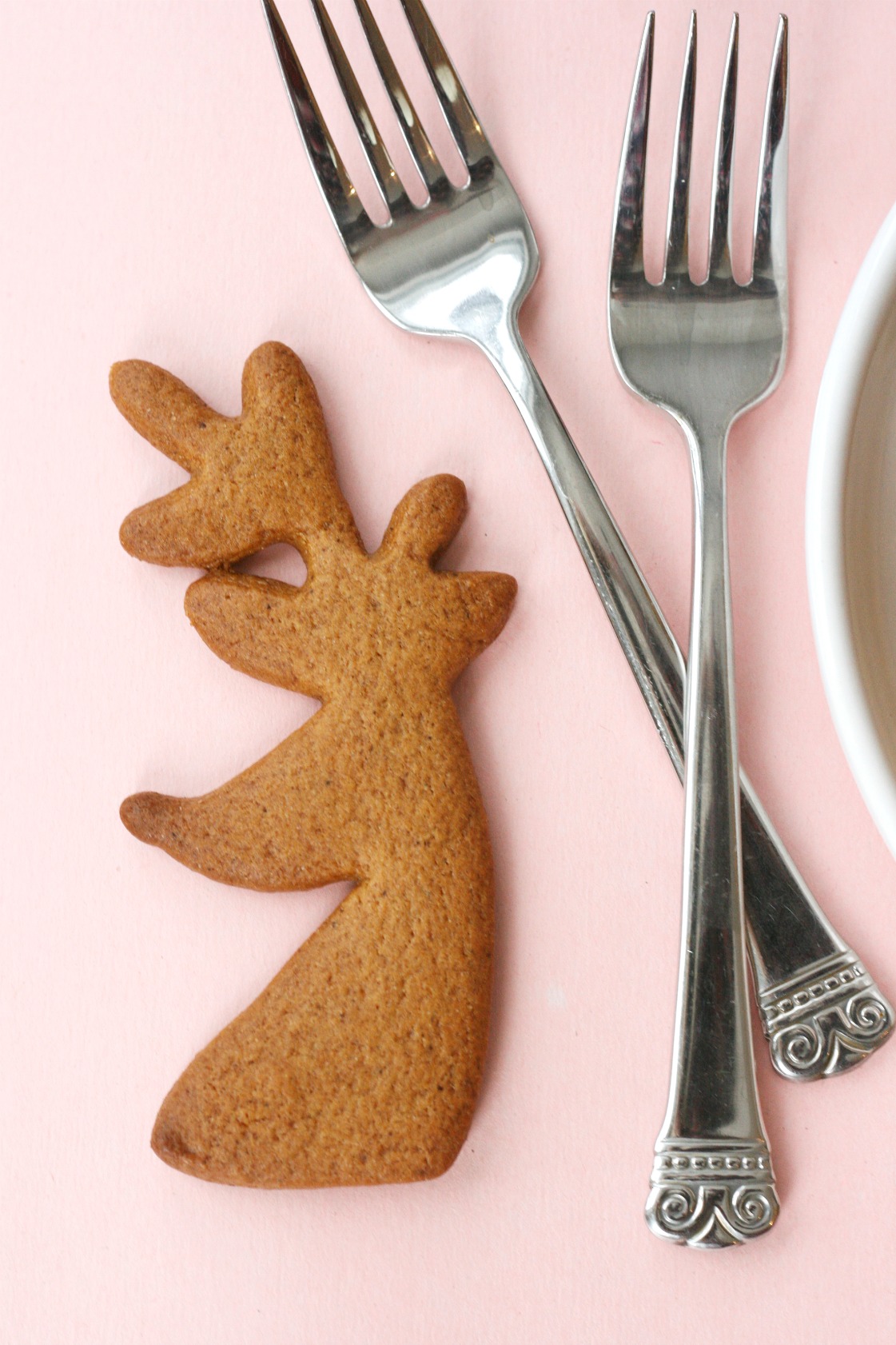 the-superfun-times-vegan-holiday-cookbook-gingerbread-cookie