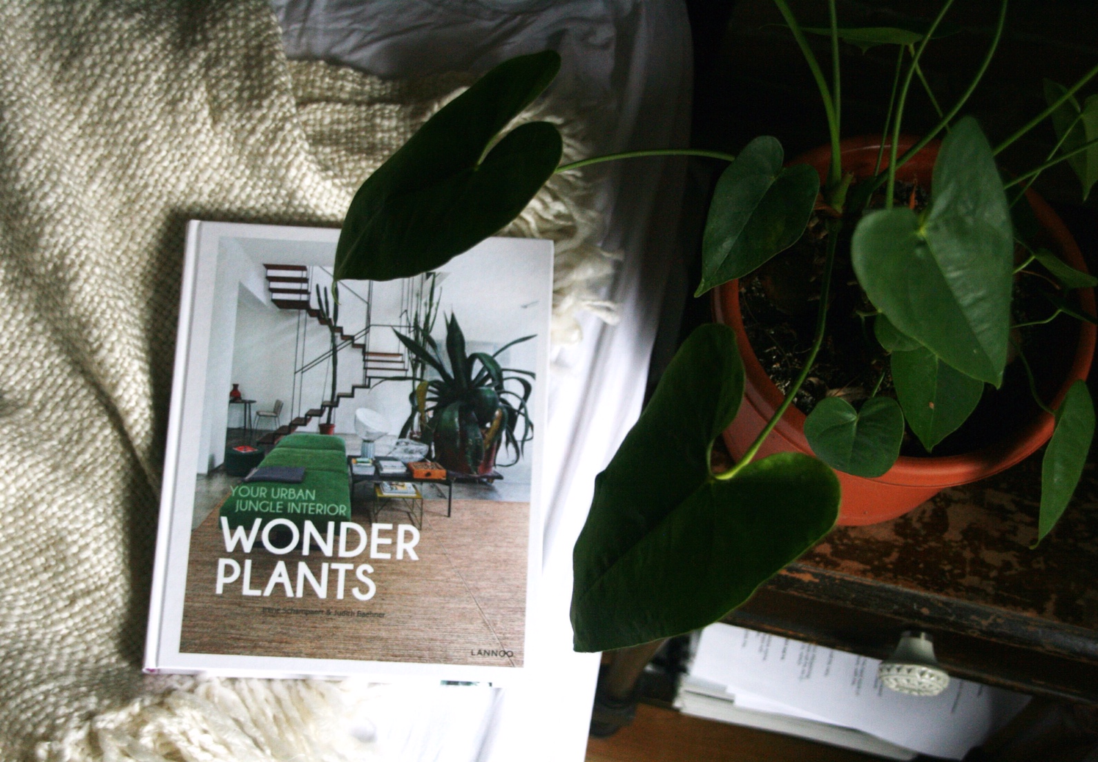 wonder-plants-cover-close-up