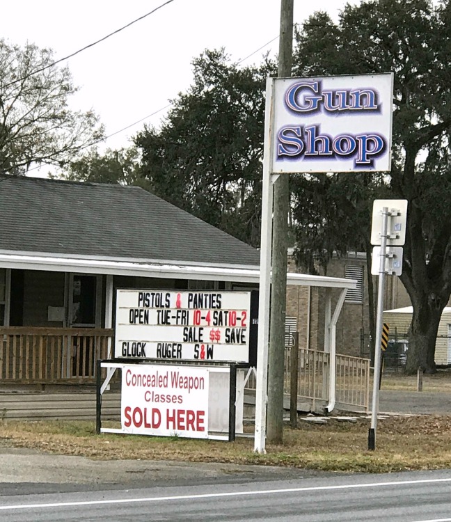 Gun Shop-2